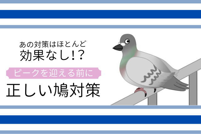 8割以上は個人宅 鳩の被害相談に関する実態調査 シェアリングテクノロジー株式会社のプレスリリース