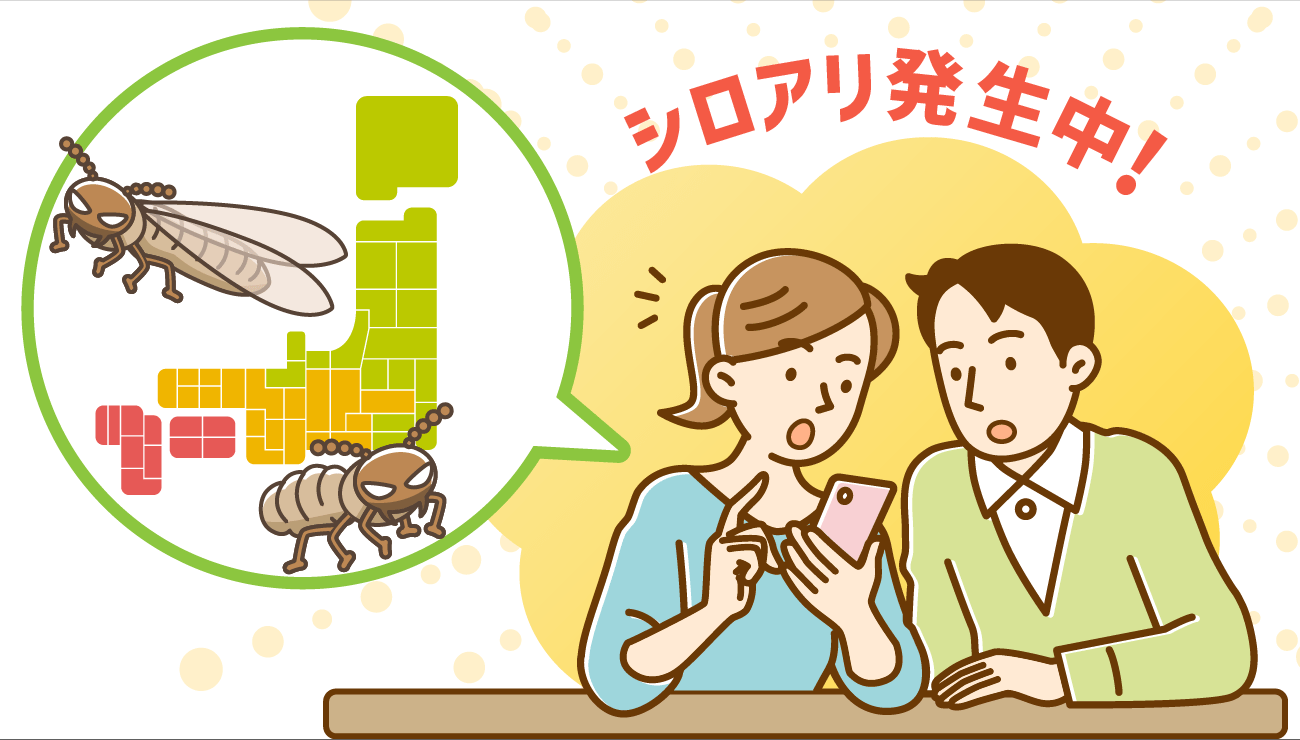 たつはち様 専用です、にこ＼(^_^)(^_^)／ 格安通販 email.fornegocios