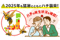 2025年も猛暑とハチに注意!全国のハチの発生状況がひと目でわかる『ハチ発生指数』更新開始