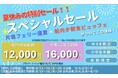 車両航送も特別価格に「さんふらわあスペシャルセール」開催中！夏休みの帰省・旅行をおトクに楽しむ期間限定プラン