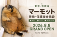 日本初、吉祥寺にマーモット保護・啓発複合施設「マモテラス」が8月8日にグランドオープン