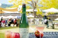 北信濃のシードルを飲み比べながら新緑の季節を楽しむ！飯綱町のシードルリーが一堂に会する【いいづなシードルガーデン2026】5月16日（土）開催