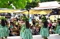 【7年ぶりの復活開催】サンクゼール・ワイナリー本店で「アロハパーティ2026」を9月12日(土)に無料開催