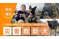 【熊本地震から9年】震災をきっかけに九州圏域で災害救助犬の活動を展開してきた日本レスキュー協会。出水期を前にふるさと納税で育成費を募る