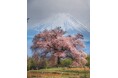 ししいわハウス軽井沢トレッキング宿泊プラン「天空の桜」を販売【HDHP合同会社】