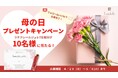 ~「春の腸活習慣」で花粉症や季節の不調を乗り切る!~母の日ギフトにもぴったりな機能性表示食品ゼリーで免疫力アップ&ダイエットをサポート