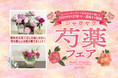 旬の花をカジュアルに飾ろう!『芍薬フェア』スーパーマーケットのお花売り場にて 2025年5月22日(木)から開催!