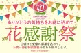 スペシャル企画!お手頃価格な花束が揃う“花感謝祭”開催!50周年のありがとうの気持ちを込めて2025年7月24日(木)からスタート!