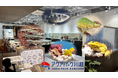 海のない埼玉で“黒潮の海”と出会える!魚も爬虫類も共存する新感覚の水族館が川越に誕生、100種1万匹以上の生き物とふれあえる新感覚施設