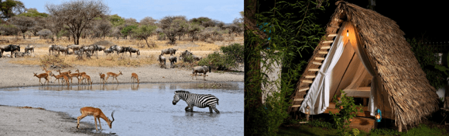 アフリカでリアルな動物たちを目の当たりにする旅行先を提案 ブッキング ドットコムが大自然を満喫できる宿をご紹介 Booking Com Japan K K のプレスリリース