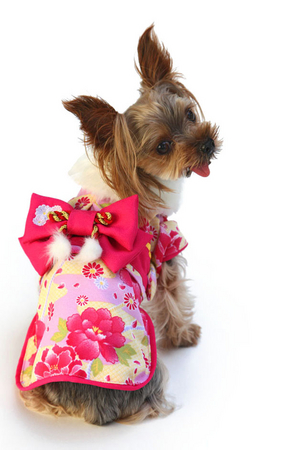 Furpeace開発 犬のつぶやき型広告で ペットパラダイスの ２０１２年賀状 ファッションコンテスト が開始 ファーピースのプレスリリース