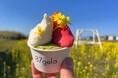 愛犬と楽しむ「お花ジェラート」体験。滋賀・東近江の食用花農園直営店「87gela」が1周年リニューアル、屋根付きテラスを新設！