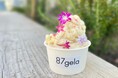 花咲くジェラート新たな夏の香りが誕生!滋賀県東近江の新店舗「お花ジェラート専門店87gela」