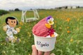 今だけの花見スイーツ体験!コスモスを眺める滋賀・東近江のお花ジェラート専門店