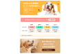 【年4回/送料無料】ライフスタイル誌『chico』が定期購読スタート —— 愛犬との毎日をもっと豊かにするヒントを毎号お届けします!