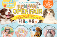 ペットショップ Coo＆RIKU高槻店がリニューアルオープン