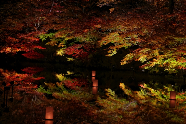 御船山楽園 紅葉ライトアップ