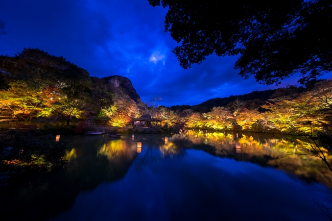 御船山楽園 紅葉ライトアップ