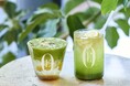 L’OFFICIEL COFFEE 抹茶の新作ドリンクが3月16日（月)より発売 「LO Matcha Collection」登場