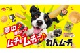 【愛犬用】日本ペットフード×湖池屋共同開発『わんムーチョ』3/2新発売