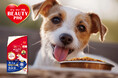 【愛犬用】カラダに「届かせる」ことにこだわった『ビューティープロ ドッグ』から、小型犬にぴったりな新サイズが新登場！