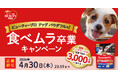 【期間限定】新商品のドッグフードが無料で試せる！「ビューティープロ ドッグ パウダフルで！食べムラ卒業キャンペーン」実施中！