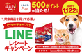 『えらべるPay® 500ポイント』が抽選で1,122名様に当たる！「ビューティープロ LINEレシートキャンペーン」10/1スタート！