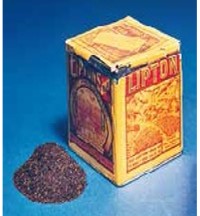 輸入開始当時（1906年）のリプトンの紅茶