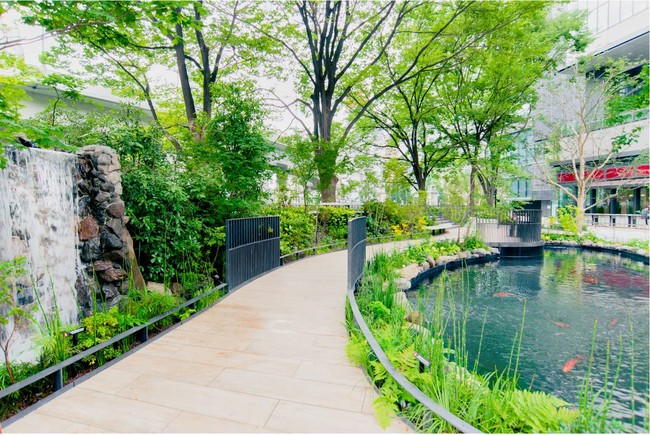 「TOKYO TORCH Park／錦鯉が泳ぐ池」 地域協業の場として誕生した 新潟県小千谷市の錦鯉が泳ぐ池