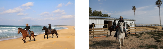（左から）玄界灘海浜部を楽しむ 120 分ライドコース 、最大 8 頭が飼育できる乗馬厩舎