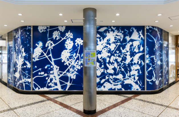 (C)TOKYO PHOTOGRAPHIC RESEARCH PROJECT