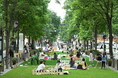 <丸の内仲通りの今後のあり方や活用方法を検証する社会実験> 「Marunouchi Street Park 2025 Summer」2025年9月5日(金)~ 9月21日(日)