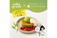 戸越銀座のカフェ「ペドラブランカ」がmilkygreekと抹茶ホットケーキコラボを開催中!