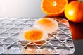 “つるん” “もちもち”食感のわらび餅。濃厚でジューシーな蜜柑〝せとか〟の果実感を楽しむ涼菓。「ちとせのわらび餅 せとか」を老舗和菓子屋【築地ちとせ】より期間限定販売。