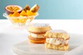 夏の暑さを癒す!トロピカルフルーツの甘酸っぱい味わいに魅了されるスイーツ。【ネコシェフ】から「ネコシェフバーガー(マスカルポーネ&トロピカルフルーツ)」を発売!