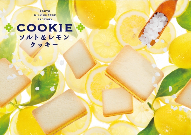 夏季限定 東京ミルクチーズ工場 より ソルト レモンクッキー が待望の再登場 株式会社シュクレイのプレスリリース