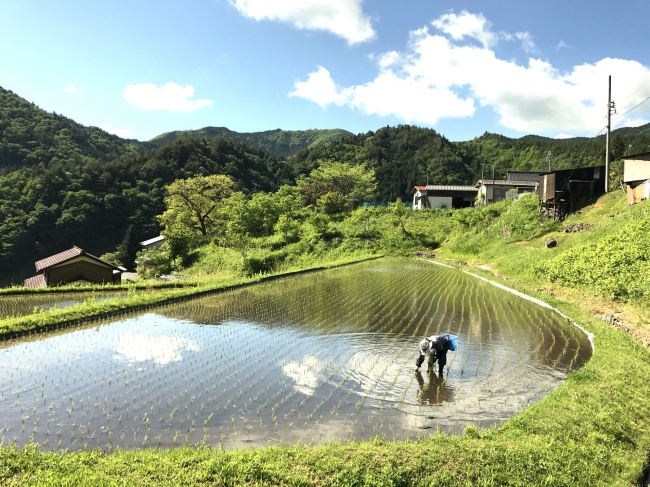 岐阜県母袋の美しい自然 風景を守る 里山再生プロジェクト スタート 株式会社ネオナチュラルのプレスリリース