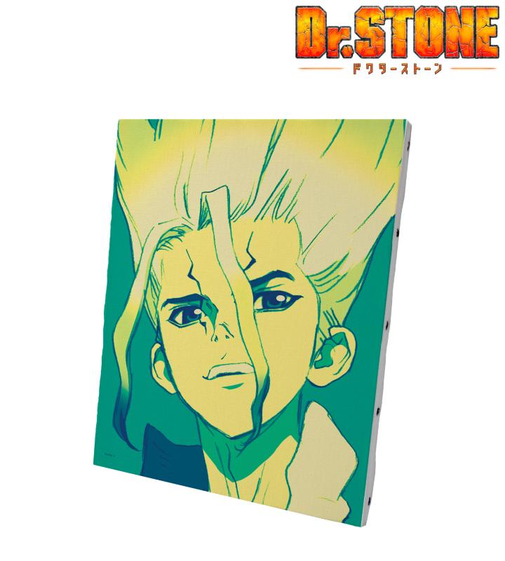 Ｄｒ．ＳＴＯＮＥ』のpaleful キャンバスボード、paleful A3マット加工