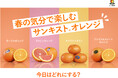 サンキスト®、4月14日「オレンジデー」を盛り上げるオレンジ尽くしのキャンペーン＆体験イベントを実施