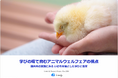【レポート公開】「これからの食育」に求められる新たな視点 ~ 日本・欧州・米国の実践から学ぶ、アニマルウェルフェアといのちの学び ~