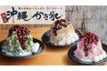 「ふわふわ×むっちり」の新感覚スイーツ。沖縄かき氷専門店【SAPURA】が横浜に初上陸!