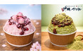 【春限定】桜餅＆うぐいす餅を“和スイーツかき氷”に。横浜の沖縄かき氷専門店SAPURA、大粒あんこが主役の限定2種を販売開始