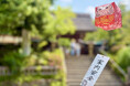 だるまが手紙になった⁉ 願い事を書いて飾る新感覚の縁起物『ふみふうせん-だるま-』新発売！
