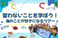 「習わないことを学ぼう！海が好きになるツアー」を開催