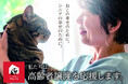 【2025年9月から本格スタート】理想的な、保護ねこの高齢者譲渡に向けて