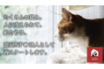 【大阪】企業の社会貢献を"猫を救う力"へ。認定NPO法人CATS WELCARE、企業協賛パートナーの募集を開始