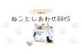 大丸梅田店×保護猫施設CATS WELCAREのコラボ企画。動画を見るだけで、保護猫支援につながるー。 【ねことしあわせDAYS】チャリティ動画公開&期間限定オンライン チャリティストア開催中。