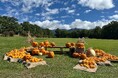 八ヶ岳の秋の恵みと食・酒の祭典「空と大地のハロウィン・オクトーバーフェスト」を開催(10/1-10/31)