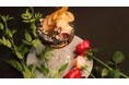 【完全会員制・住所非公開】EBISU FLOWER PARK 博多店限定 “フラワースイーツ懐石” 。五感で楽しむ唯一無二のスイーツ体験を提供開始