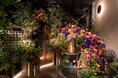 「「飲食業をなりたい職業No.1に」目指すクローバークラブ、会員制バー「EBISU FLOWER PARK」事業譲渡で、国内安定と海外市場への布石。新収益柱「お花」事業も始動」